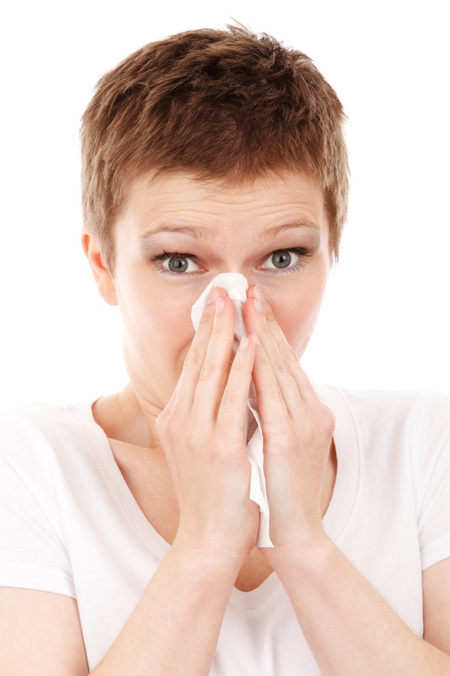 Allergy Cold Disease Flu 41284