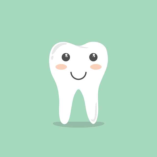 Teeth 1670