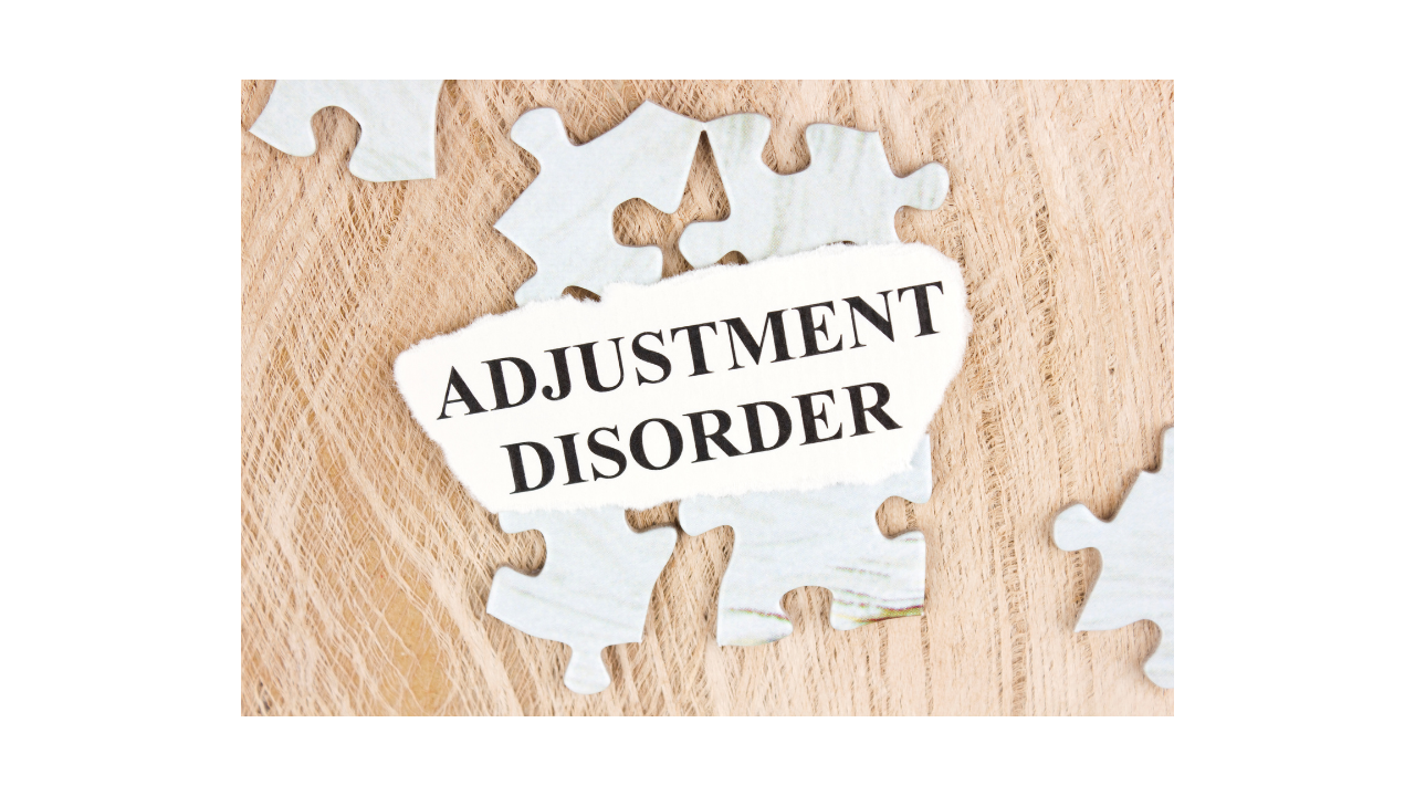 What are Adjustment disorders