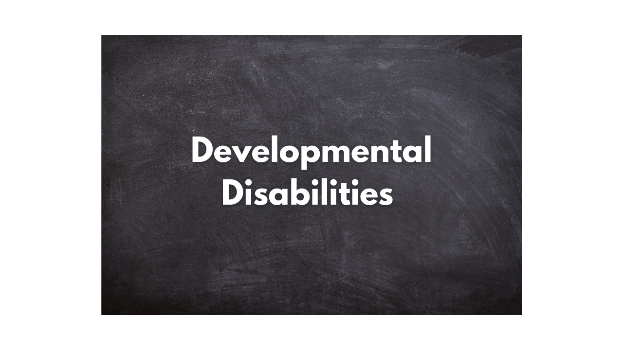 What are Developmental disabilities