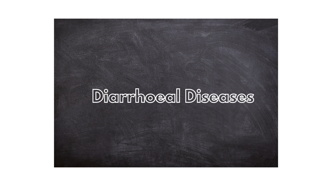 What are Diarrhoeal Diseases?