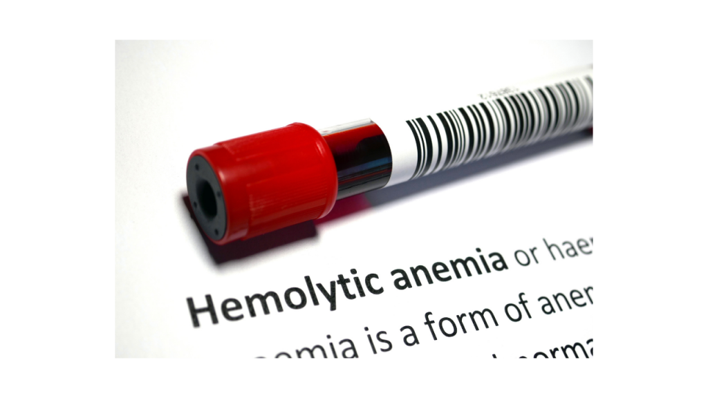 what-is-autoimmune-hemolytic-anemia