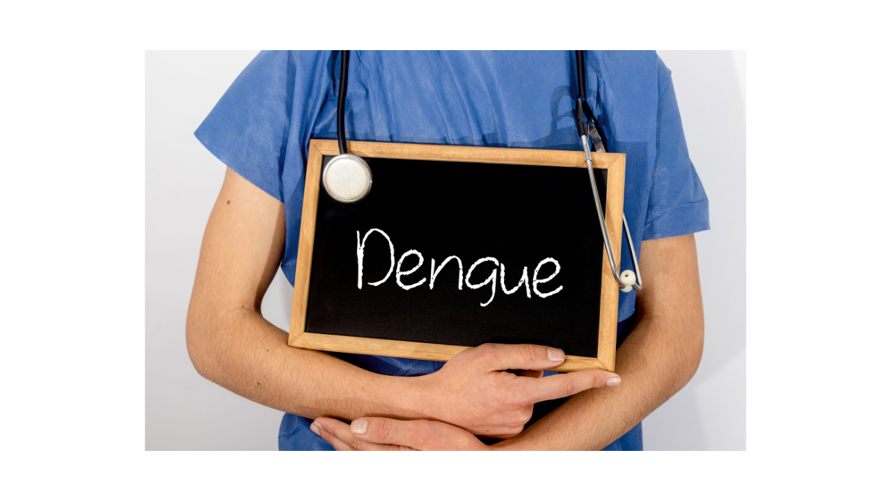 What is dengue?