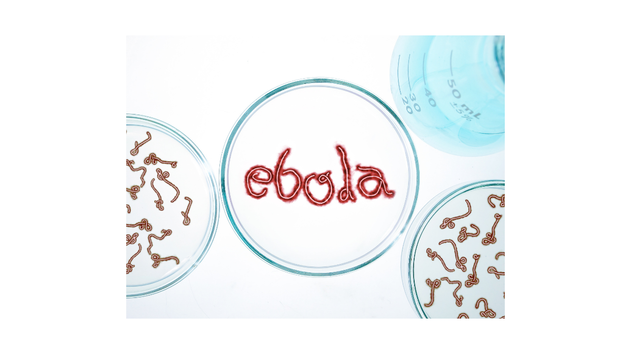 What is Ebola virus disease