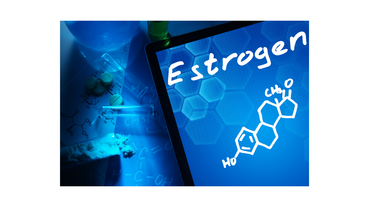 What is Estrogen ?