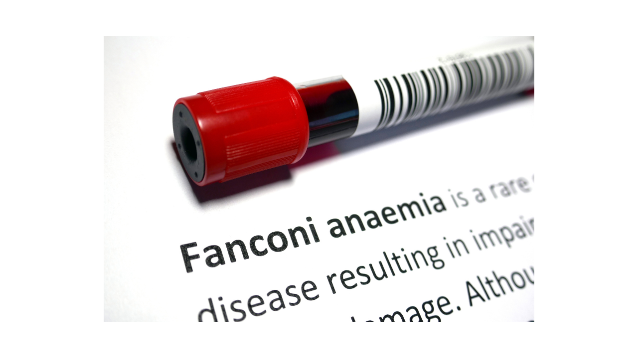 What is Fanconi anemia