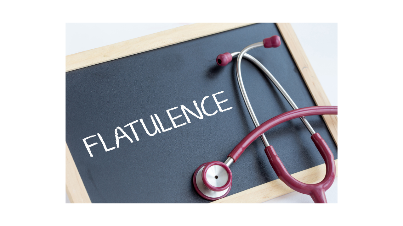 What is Flatulence