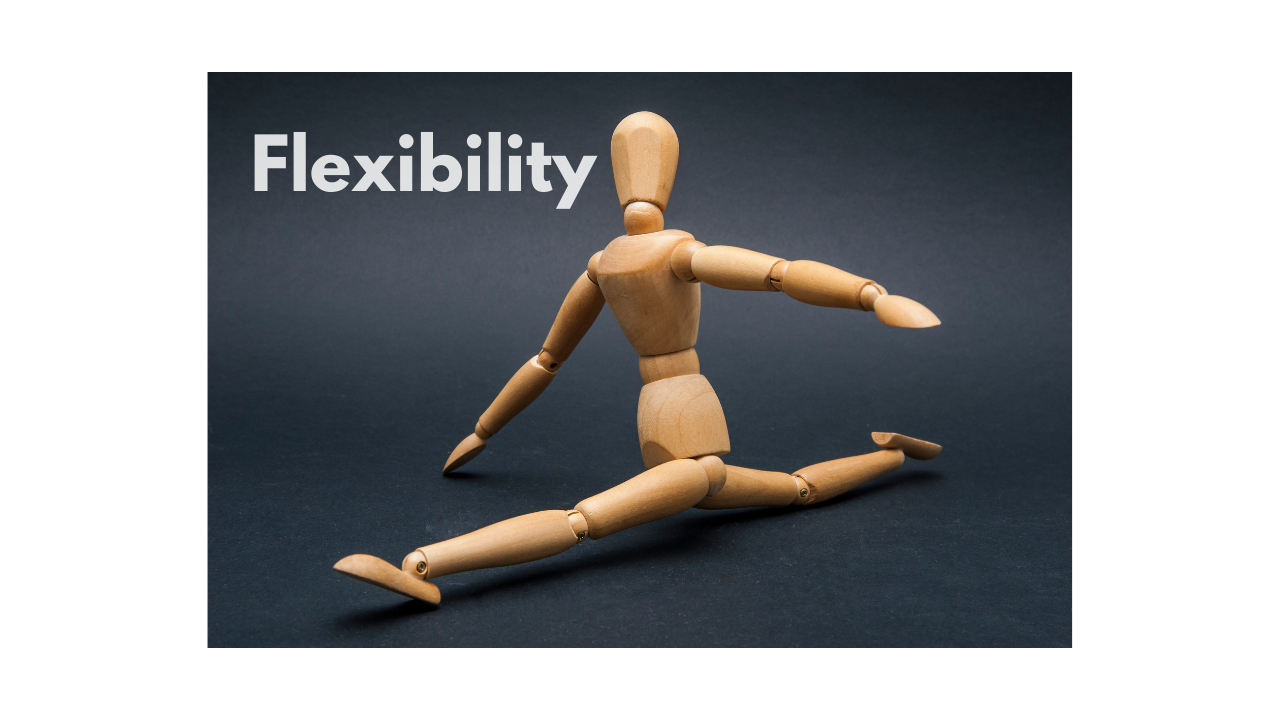 What is Flexibility ?