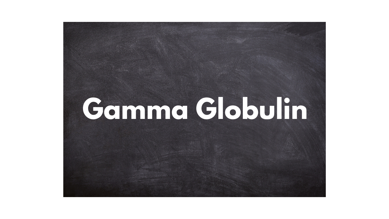 What is Gamma globulin (IgG)?
