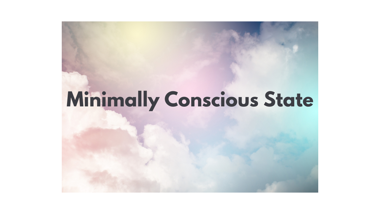 What is Minimally Conscious State