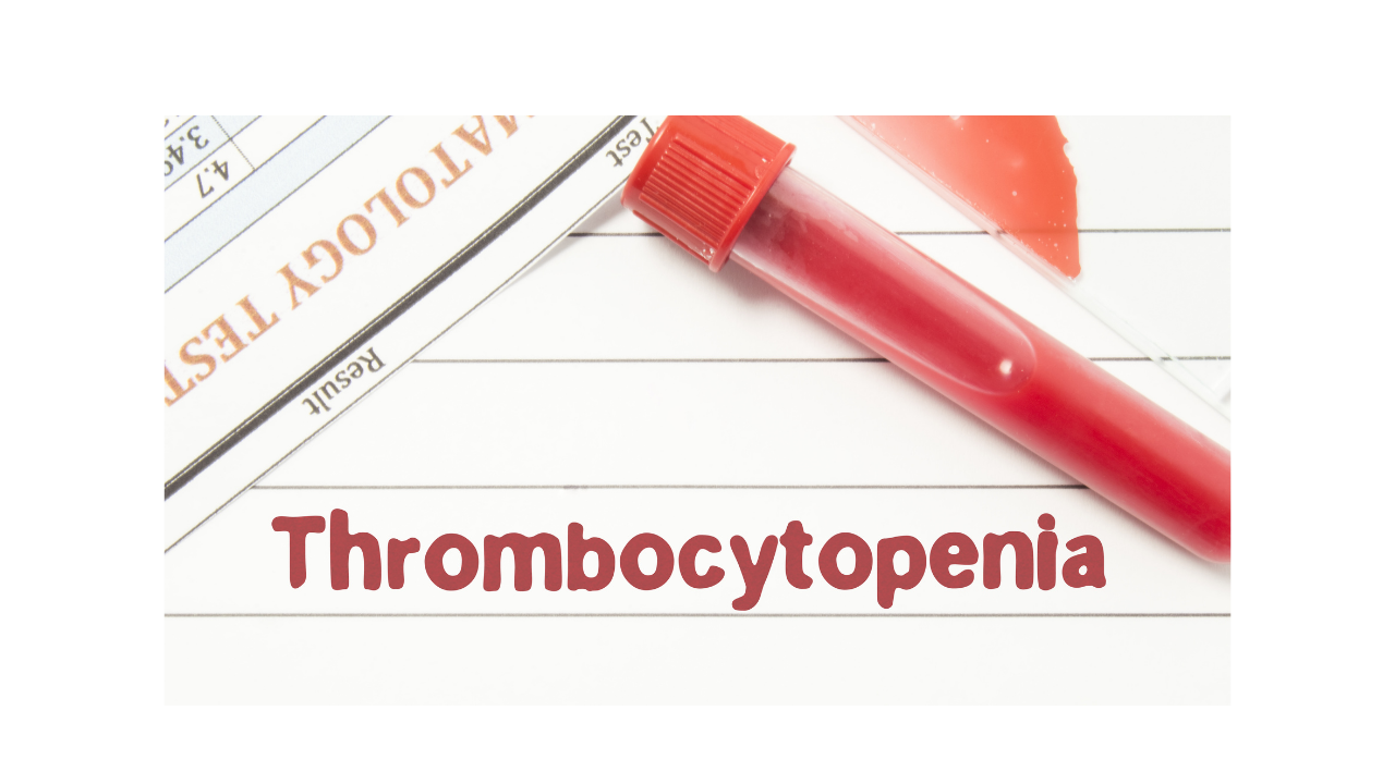 What is Thrombocytopenia?