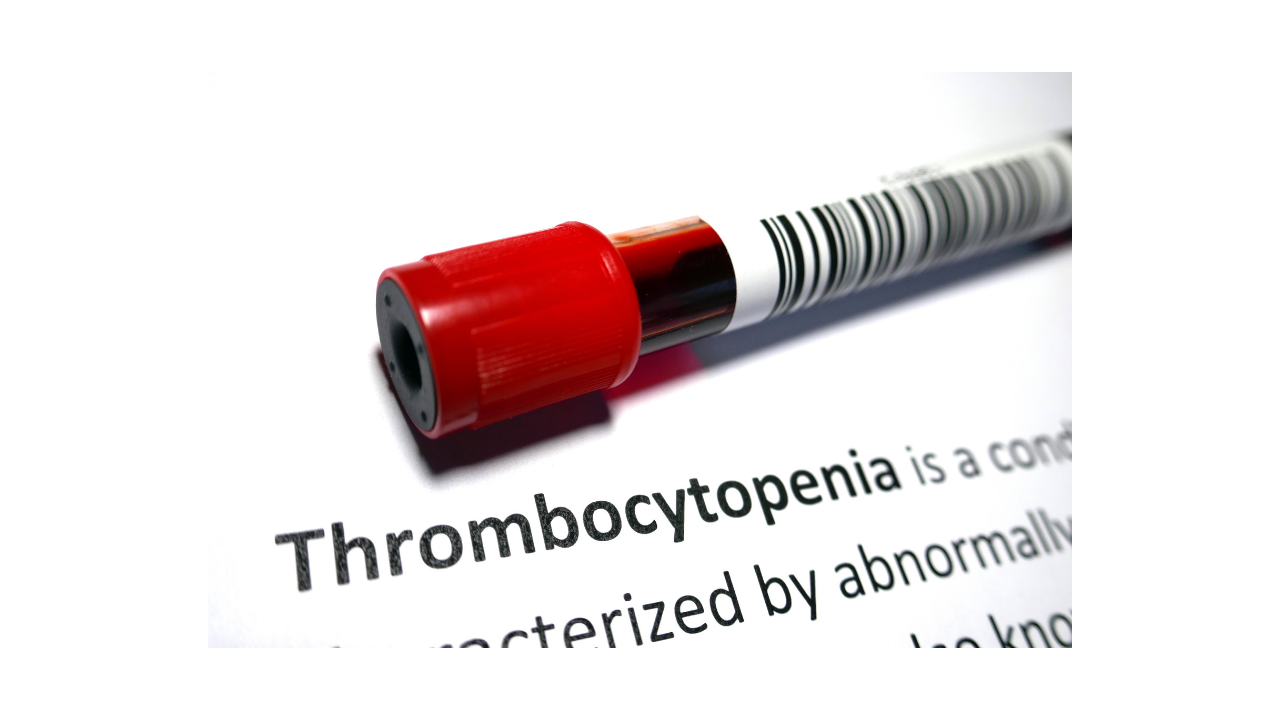 What is Thrombocytopenia