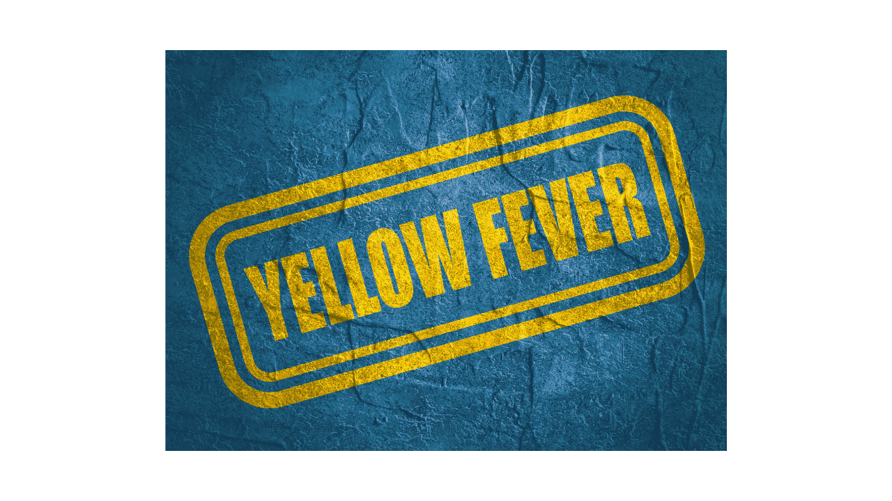 What is Yellow fever?