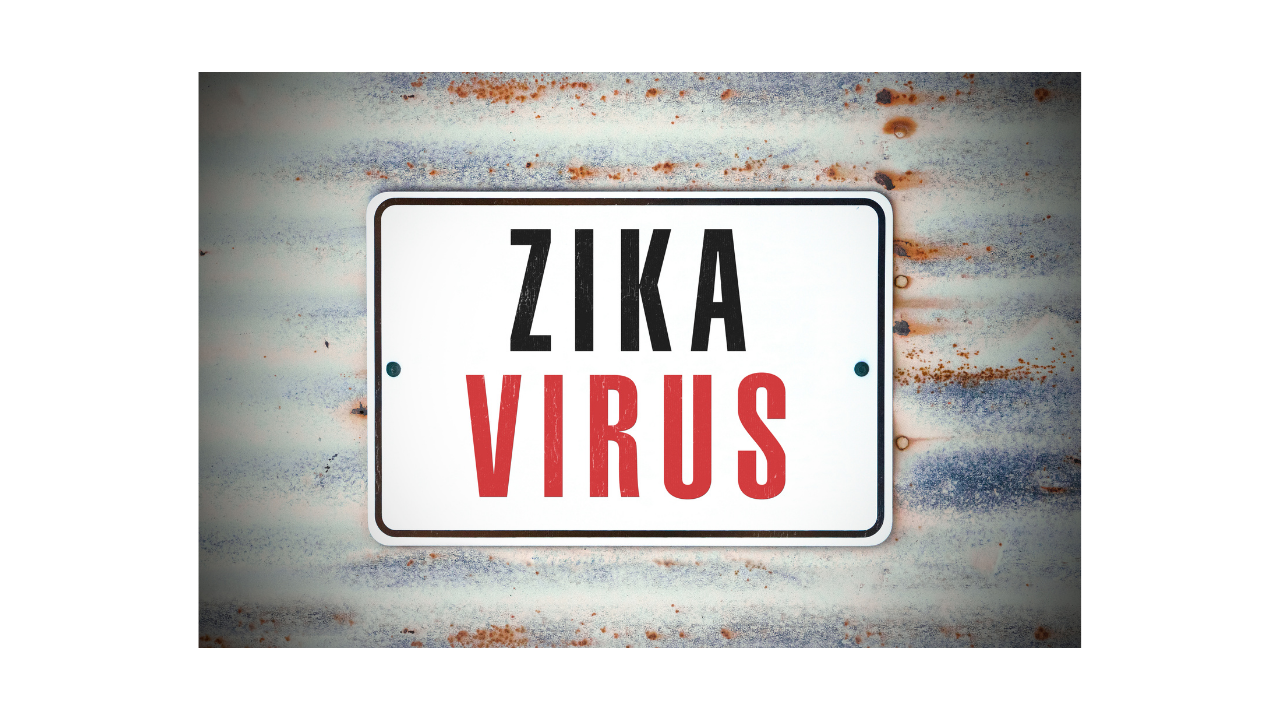 What is Zika virus infection ?