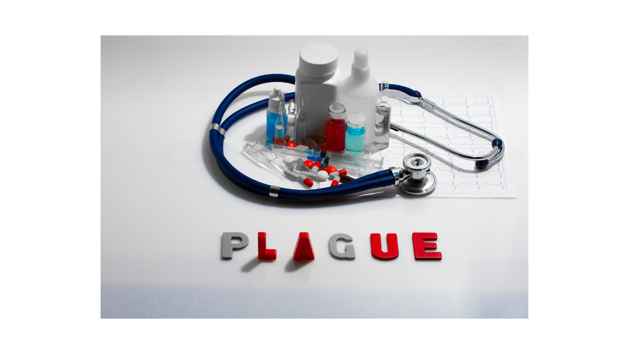 What is plague?