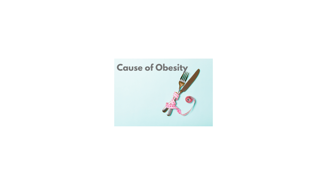 What is the main cause of obesity?