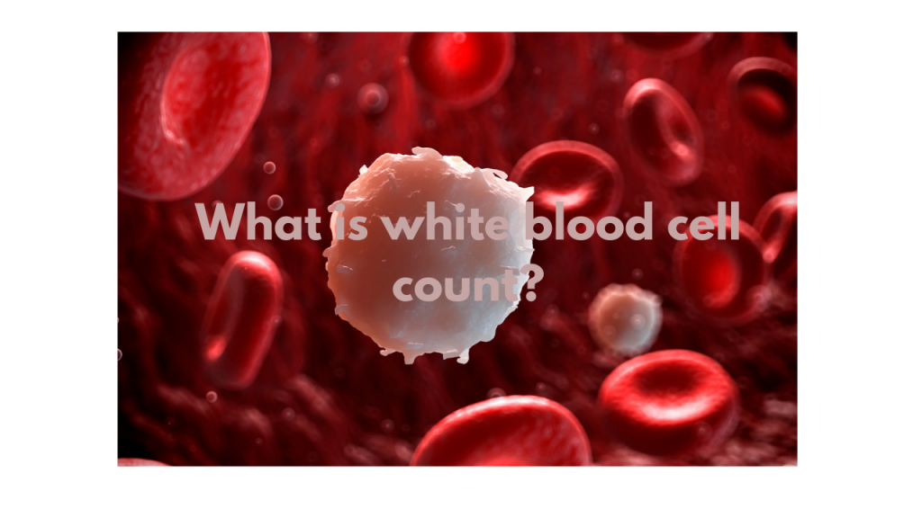 what-is-white-blood-cell-count