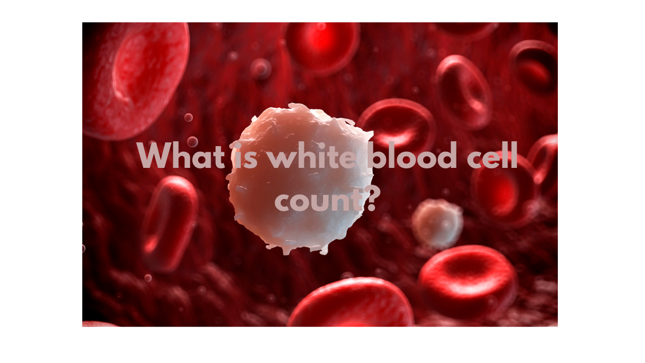 What is white blood cell count