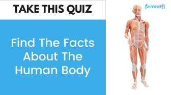 FIND THE FACTS ABOUT THE HUMAN BODY